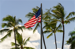 American Flag with Palm Trees in Background
