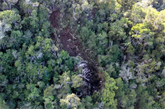 Kaua'i Tour Helicopter Crash